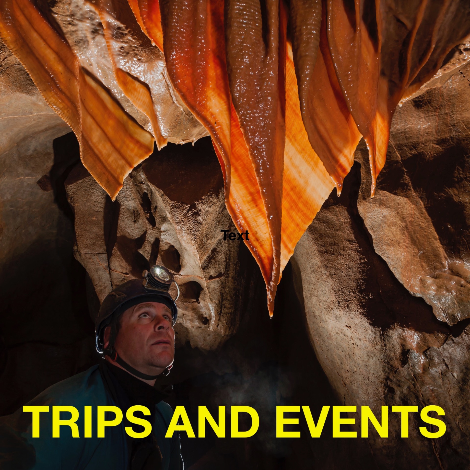 Click to view upcoming trips and events