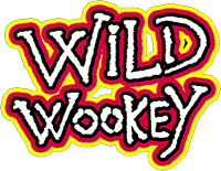 Not sure if caving is for you? Try adventure caving at Wild Wookey first!